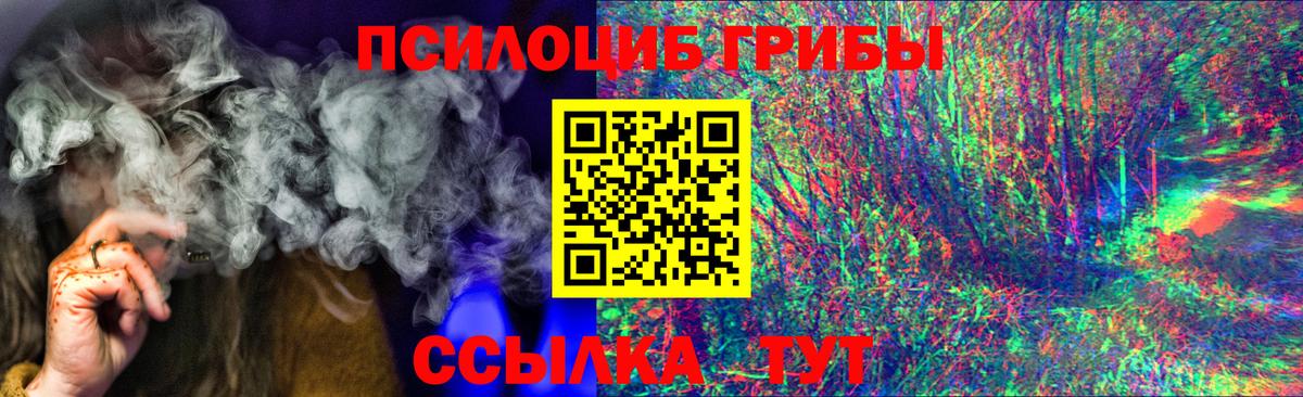 Галлюциногенные грибы MAGIC MUSHROOMS  Галлюциногенные грибы MAGIC MUSHROOMS  Вход с VPN  дарнет шоп  Борзя 